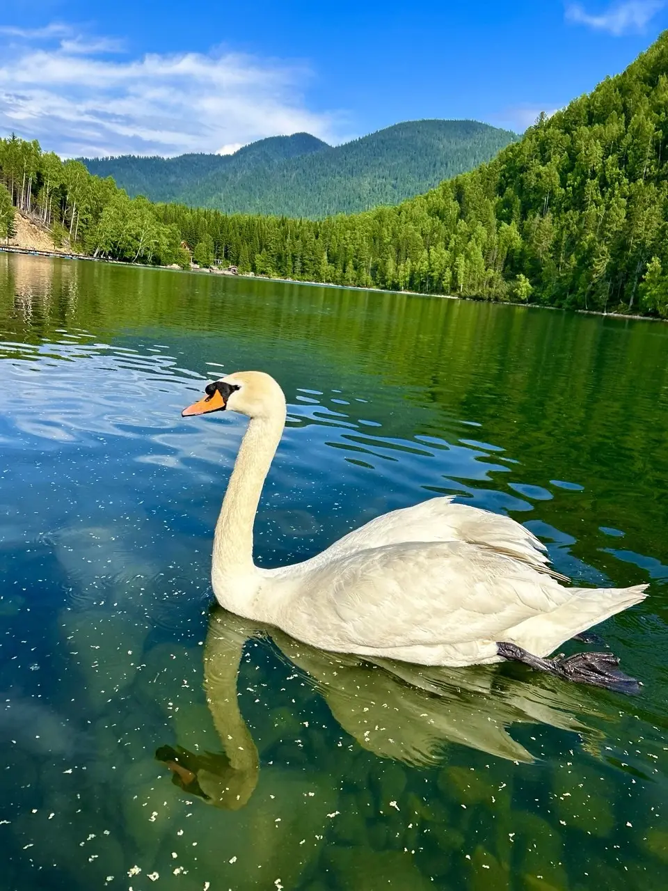 Тёплые озёра